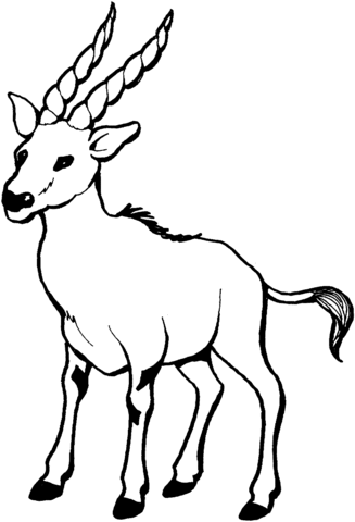 Wild Goat Coloring Page